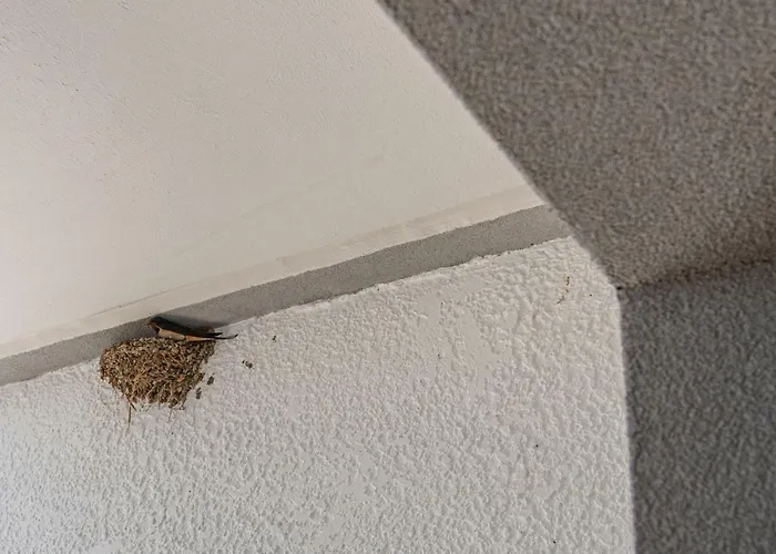 Apartament Aethrea *