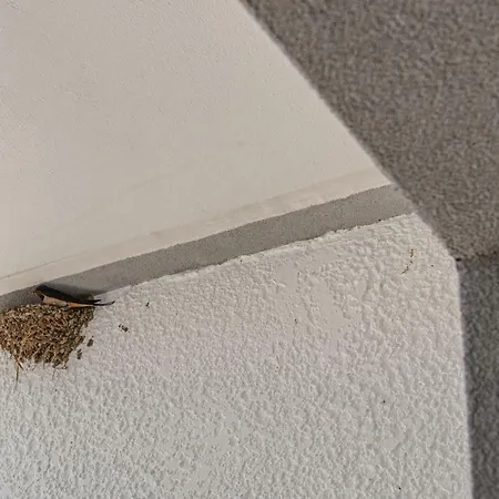 Apartamento Aethrea *